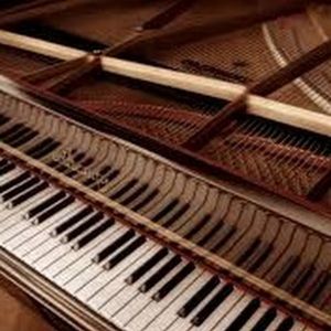 Meet your Posher, Bao